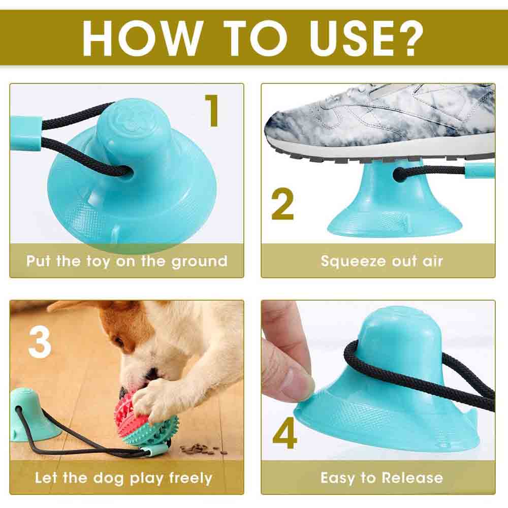 Tug-Of-Floor Dog Toy 2
