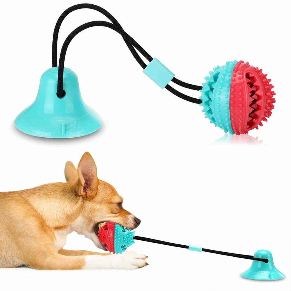 Tug-Of-Floor Dog Toy